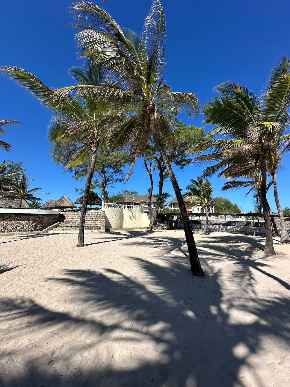 Le palme lungo la spiaggia di Watamu