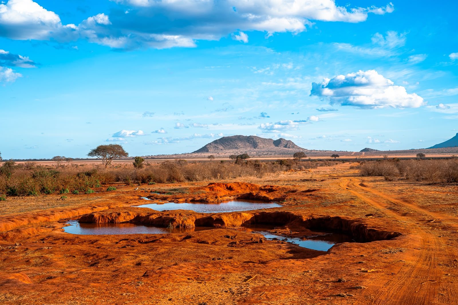 Pozze d'acqua nella terra rossa della savana